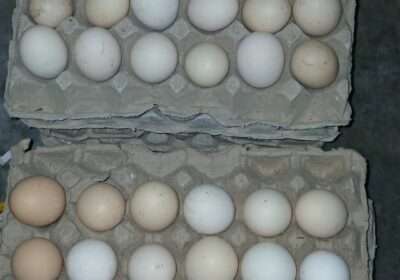 4b02489f-2247-4fe5-8aed-891ab2245bdd