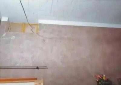 ceb30d93-750c-437b-bd31-02d31d58c0e7