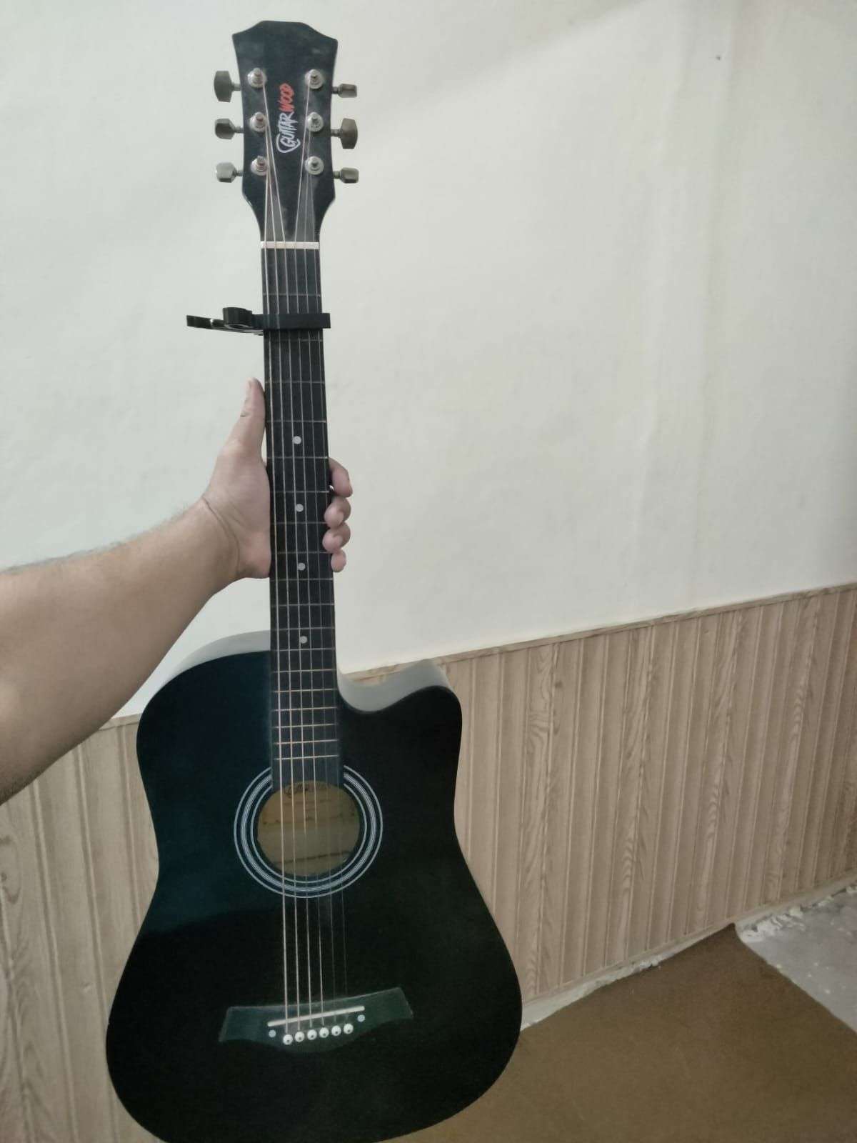 Guitar