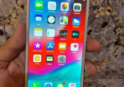 138ea024-f378-4a23-8e0b-db7703adc916