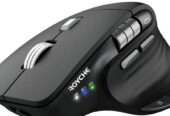 Royche RX-900S wireless ergonomic mouse.