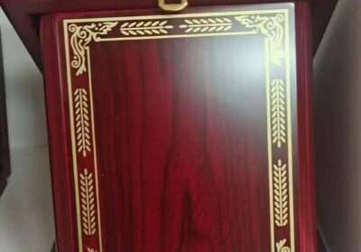 2b1995b9-485f-4935-adc5-03ceffcd1dc1