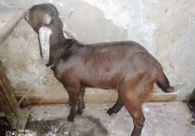 33da2423-e639-422e-9e23-b422b9a26554-2