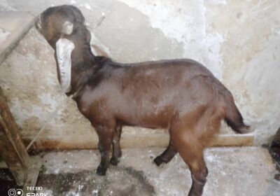 33da2423-e639-422e-9e23-b422b9a26554-4