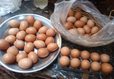 3b25a5cc-c560-4299-b611-ad966d147d8d