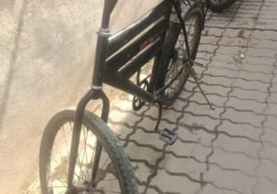 4443d959-70ec-4505-8527-169ba43858a3