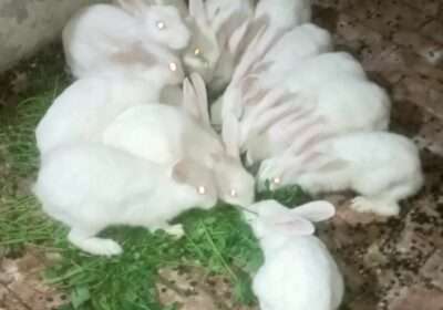 4659a7e7-6338-4e86-ac0f-d18757b66995