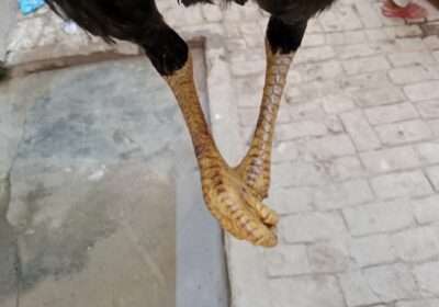 4669ae7b-e41d-4a5e-a4a3-560744629e59