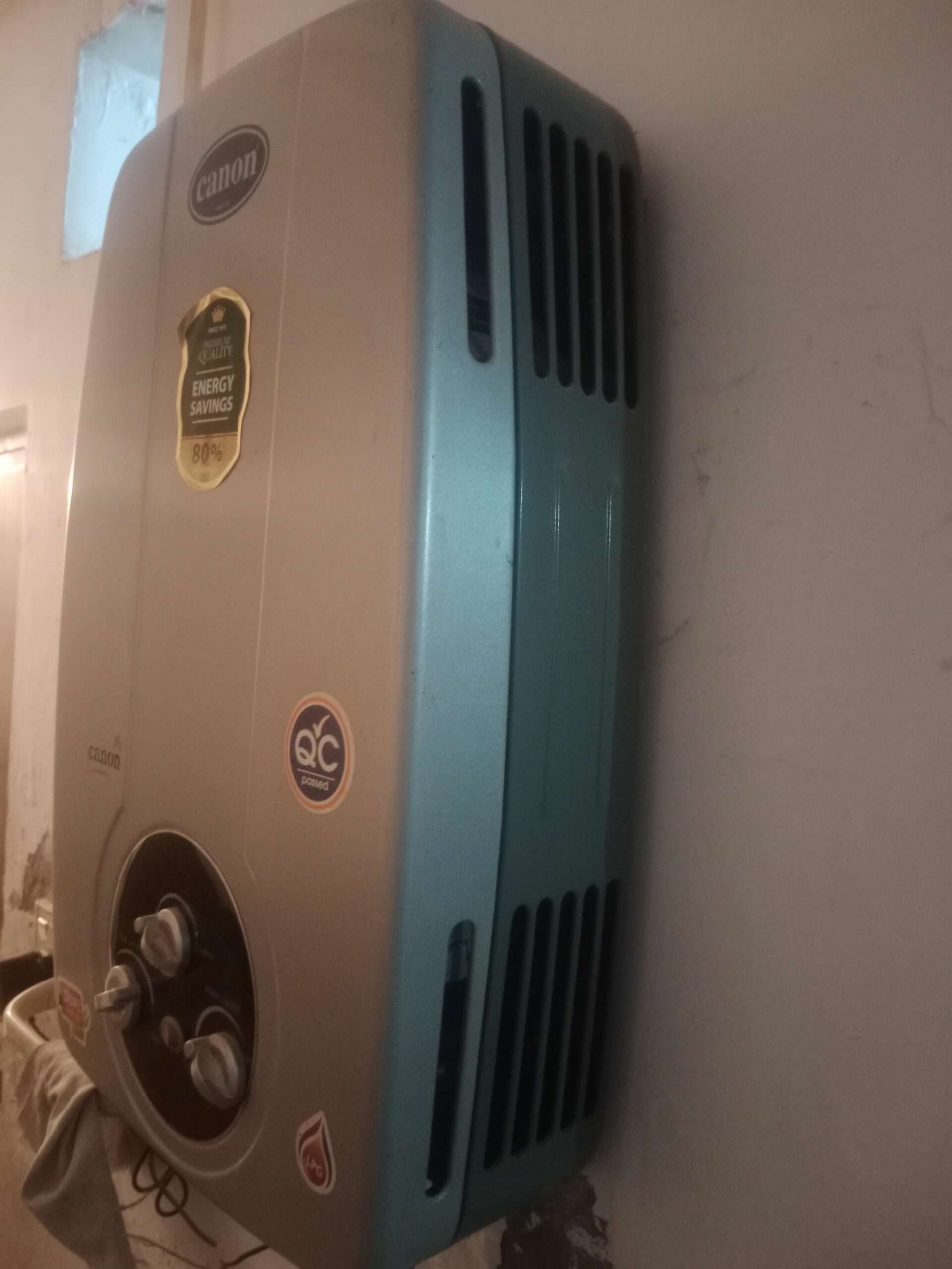 Canon insita electric and gas geyser