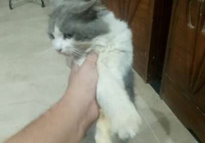 539e9b48-e500-4c0e-aac3-66658473c213