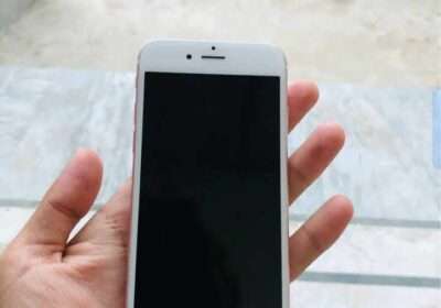 6d618bc3-6874-4816-8033-2918e0725732