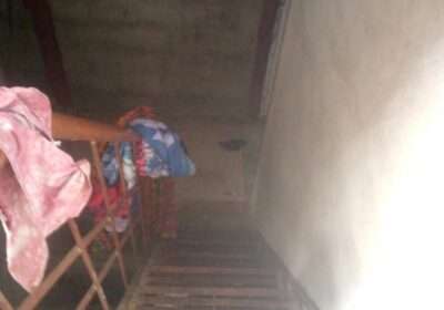 7cb3ccf4-556f-4c20-8dfe-3341820573e9