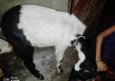 7f5e9697-1a0d-4c49-a49a-dbfce5f3b1d5-4