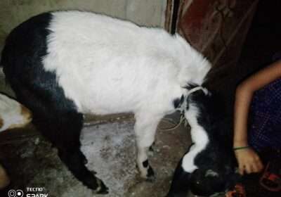 7f5e9697-1a0d-4c49-a49a-dbfce5f3b1d5