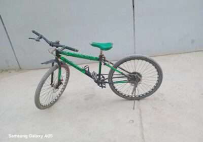 8a7d8da2-6e2f-46aa-b128-6d534ffcbb38