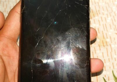 916dae4c-d404-4010-a8d5-4cb50cf07b8d-1