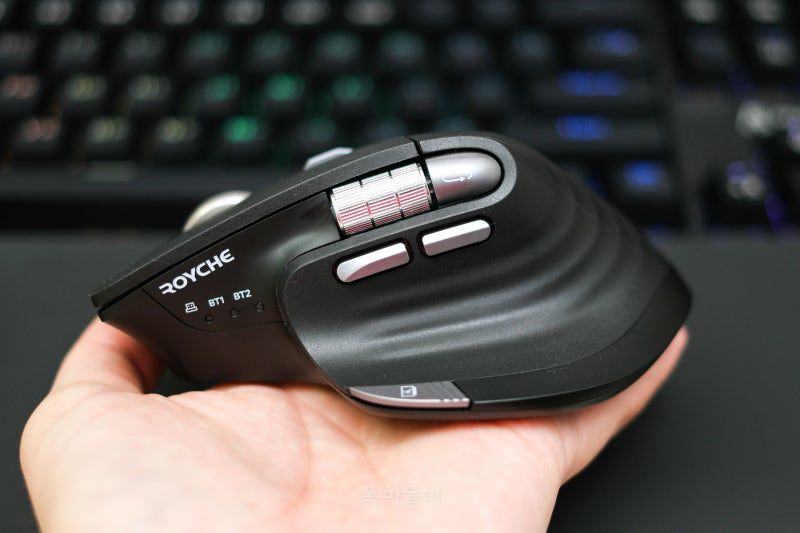 Royche RX-900S wireless ergonomic mouse.