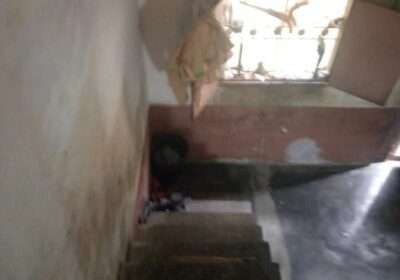 b50f27b9-e810-45b5-9a6d-0b8015667ff2