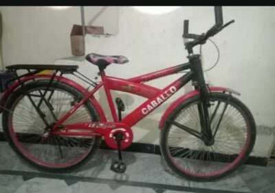 b950000b-6a84-41d5-870c-74b0275ad4a1