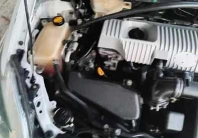 cc0cb523-3cbb-4da8-9f06-6369a92eda58