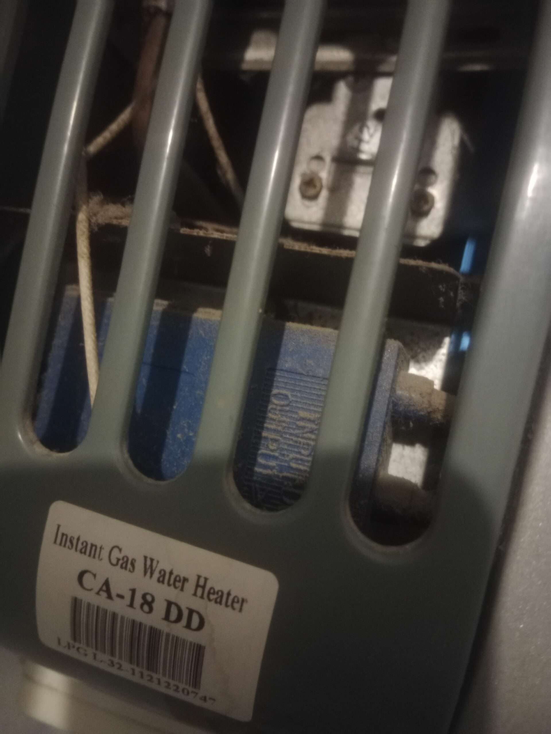 Canon insita electric and gas geyser