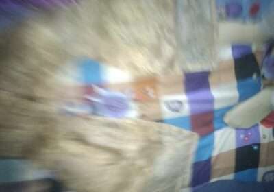 f20c8f31-014e-411d-af76-907e8524c1d0-2