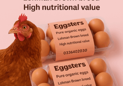 f3834358-6587-455b-9140-f83aee9ecfe4