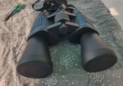 084f7322-1951-433e-9b2b-bf9819abd653-1