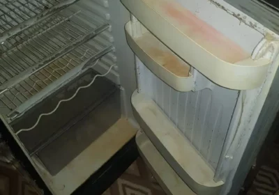 168bff0e-7a95-41a6-a2b3-9c279be67cee