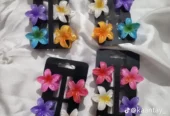 Hair clips