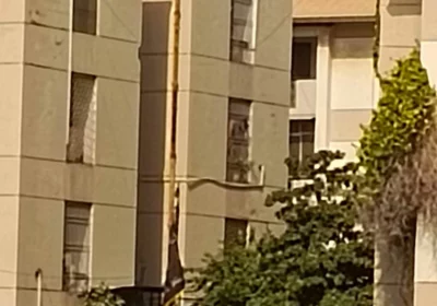 4ce21883-f02a-45ef-8d77-05859a021741