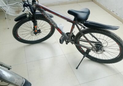 52203e6e-d4a4-4a0f-8501-79662a6f201c