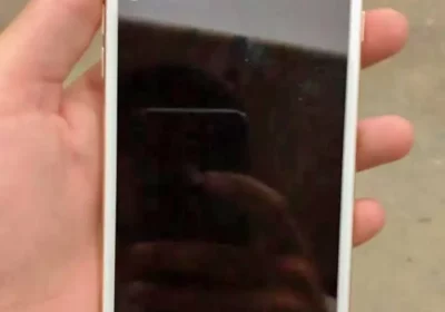 54b83231-e180-4e82-bfd4-97aab3192acc