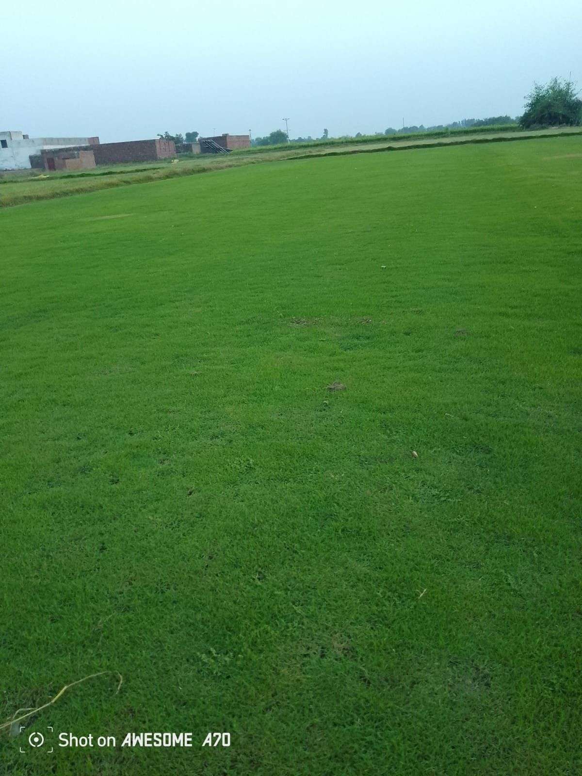 کورین گراس اویلیبل فون نمبر 03079556957