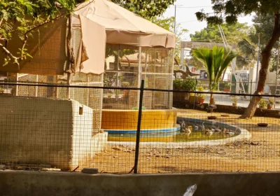 6dde5a49-f73b-4a88-9468-86370ce361e4