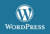 I will create wordpress site, develop custom wordpress, business website development