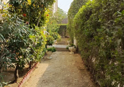 785b6c05-0975-4643-875b-8bb350ac018e