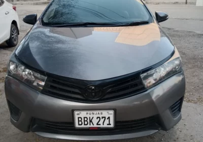 7c243324-7f1e-4c78-ad6c-2482e5cc259a-1