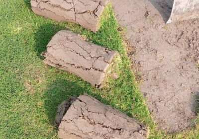 86db6348-9ab5-4b91-a070-75279ff4a686