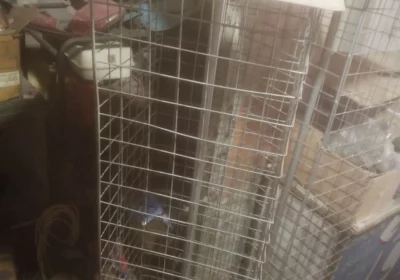 888cd213-80b5-4b5e-abd1-93852cd11a26