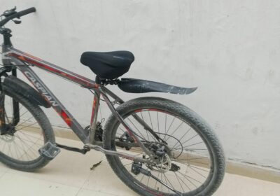 96298f3a-889a-4265-a586-69b6d269c35d