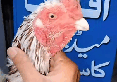 9e4b12d0-49f8-420e-98d0-29af04a172a4