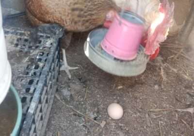 adf82acd-3fe9-4abe-96bc-0dc888f61731