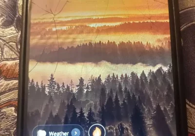 e6b93a93-2339-484e-9bf1-3220fa07c832