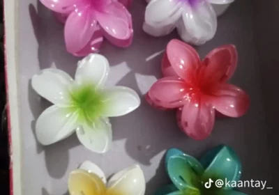 ec9553b1-ef4c-46ff-a1a3-90a1a8ce4830