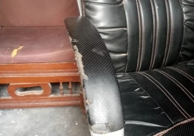 f6939fc7-a3d7-4066-9aa3-24b013d9e965