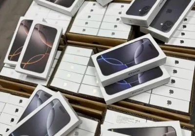 03fb8bd9-31ff-468f-ae36-8900dca33682