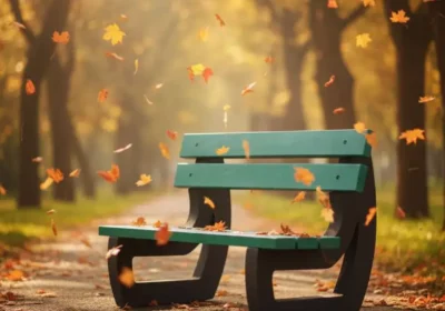 0608000e-8105-4e46-bdb7-4b794b41dcd4-3