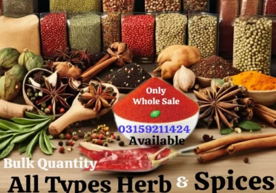 06248541-4763-4ce7-84f4-35faa4902029