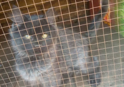 113dafb1-c669-48f7-a08c-b349834224b9